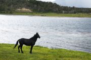 Foto: Tierra del Fuego. Gateway to the Icy Continent